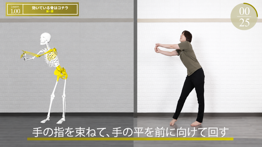 動画再生画面